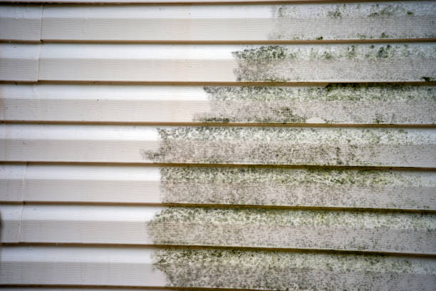 Best Demolition Debris Removal  in Seymour, TN